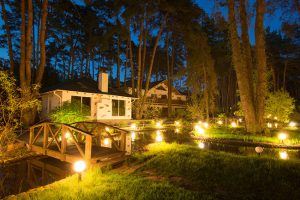 Elevate Your Outdoor Spaces with Landscape Lighting